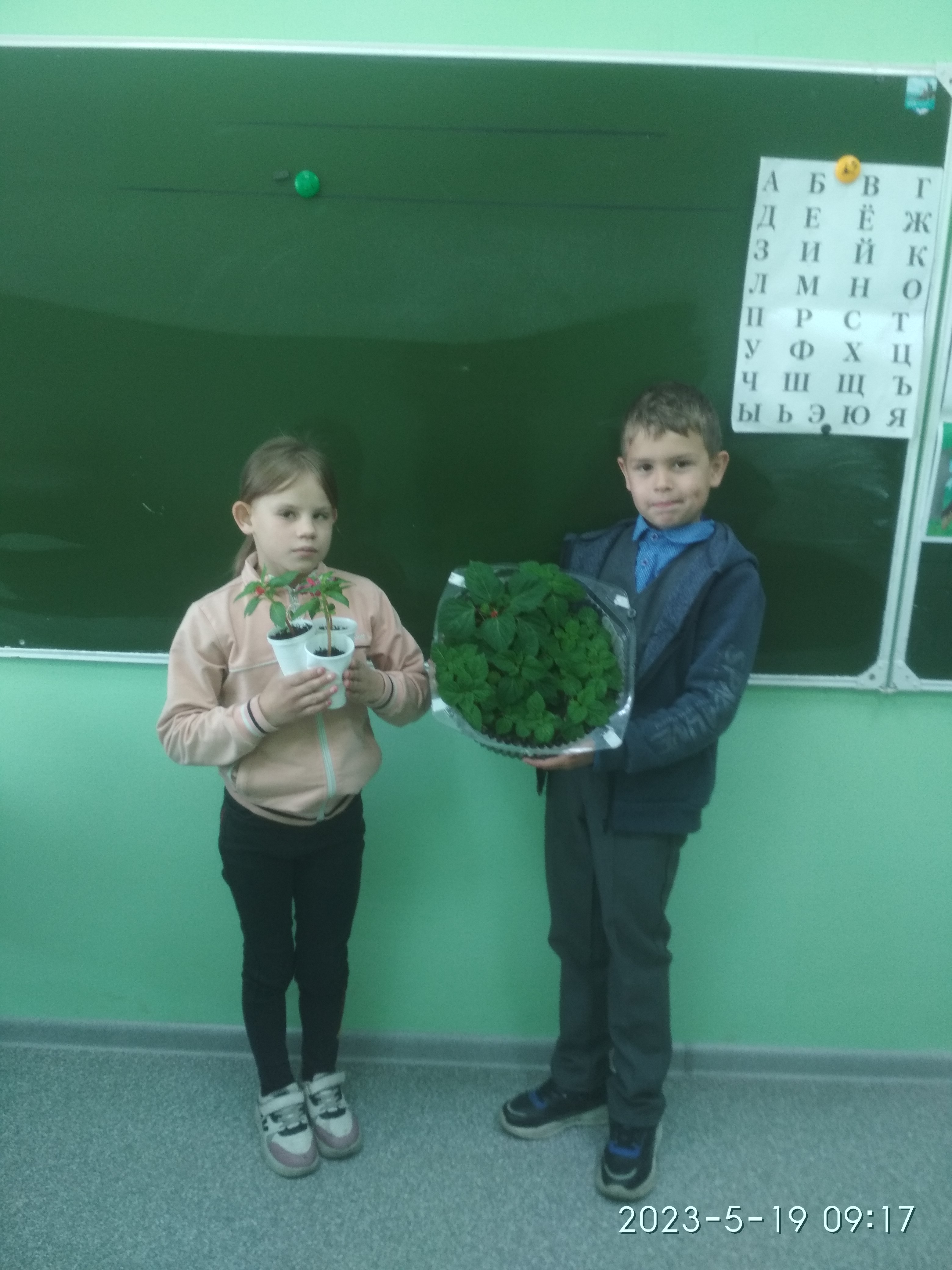 Работа на пришкольном участке.