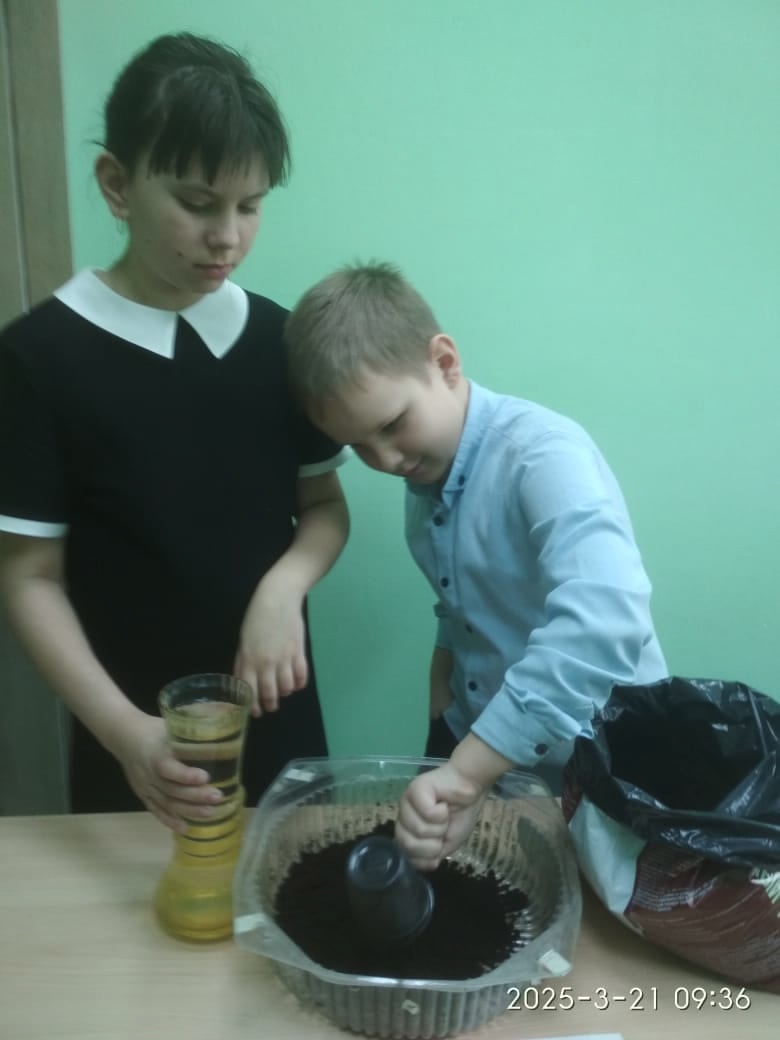 Посев семян.